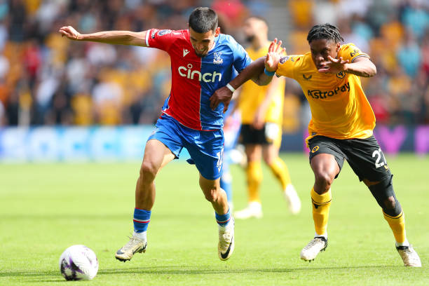 他们所展示 他们所展示