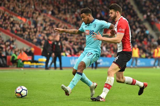 虽然罗马目 虽然罗马目