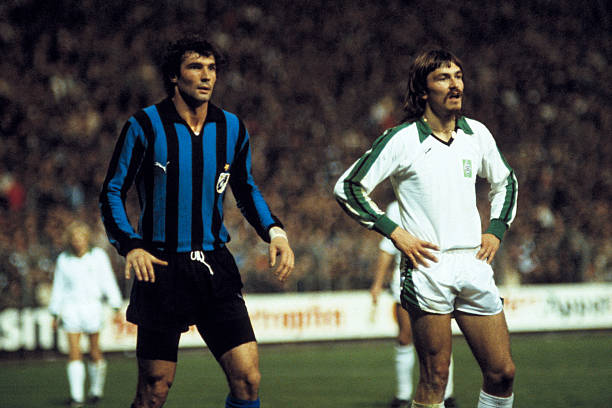 借鉴成功案 借鉴成功案